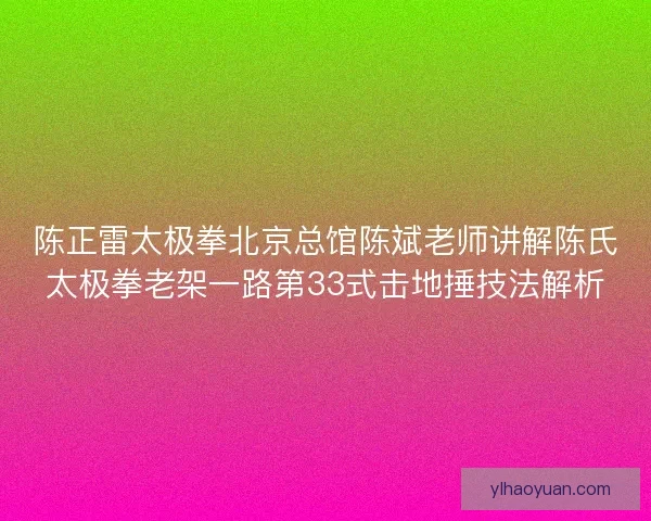 陈正雷太极拳北京总馆陈斌老师讲解陈氏太极拳老架一路第33式击地捶技法解析