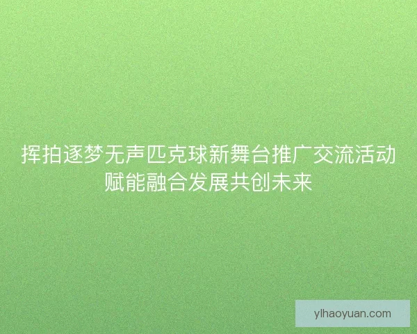 挥拍逐梦无声匹克球新舞台推广交流活动赋能融合发展共创未来